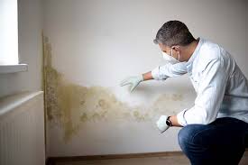 Mold Remediation for Rental Properties in East Lake Orient Park, FL